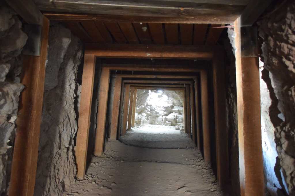 DSC_0256Mittel_.JPG